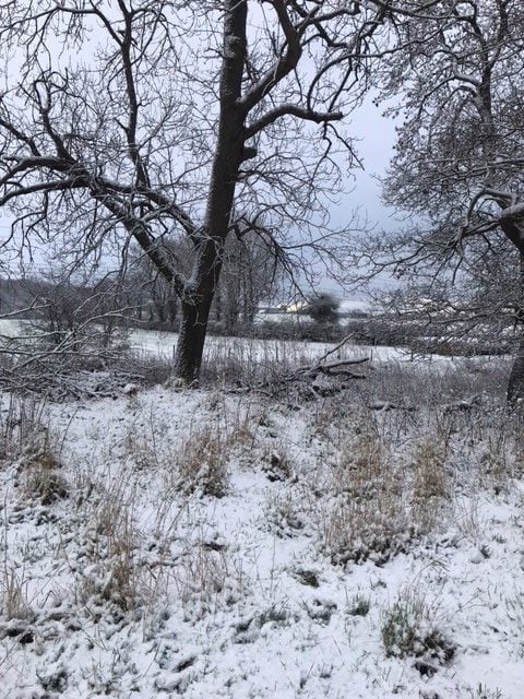 Winter around the shepherd’s hut