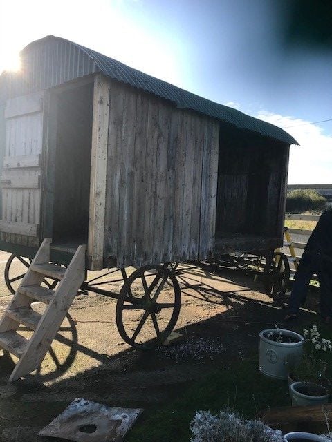 Mabel photographed from the side